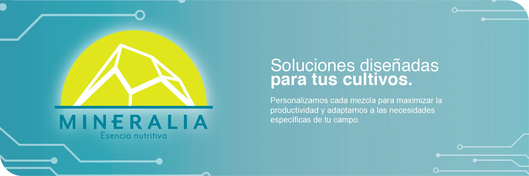 Banner Mineralia
