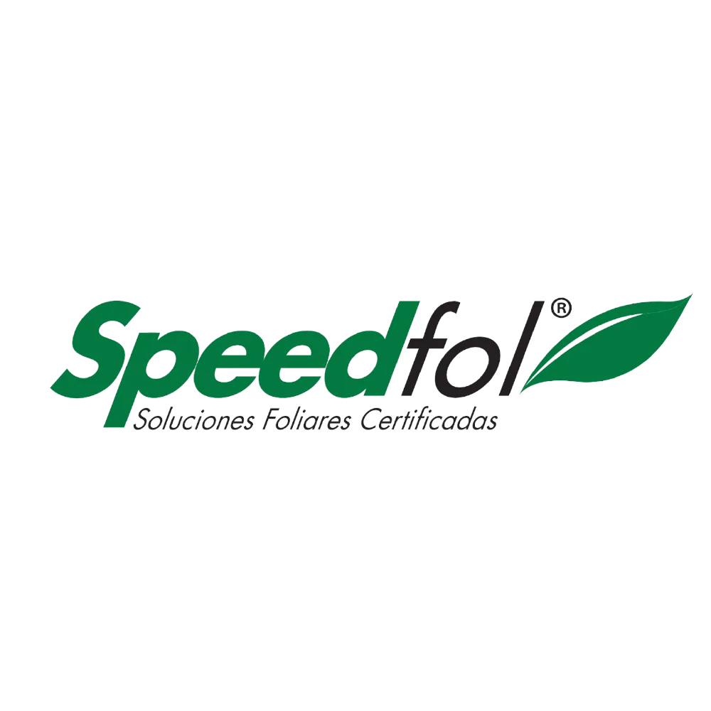 logos-03